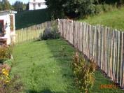 NetObjects Web Design Placeholder