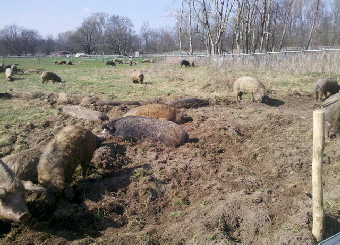 2012-03-25_15-14-07_492