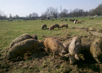 2012-03-25_15-14-27_926