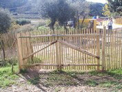 NetObjects Web Design Placeholder