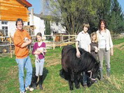 Familie V�gele/Elste